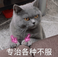 你对建议竞价的理解，都是错的